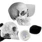 Full Scale Skull Mold Bundle