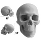 Full Scale Skull Mold Silicone