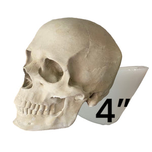 4” Skull Silicone Mold